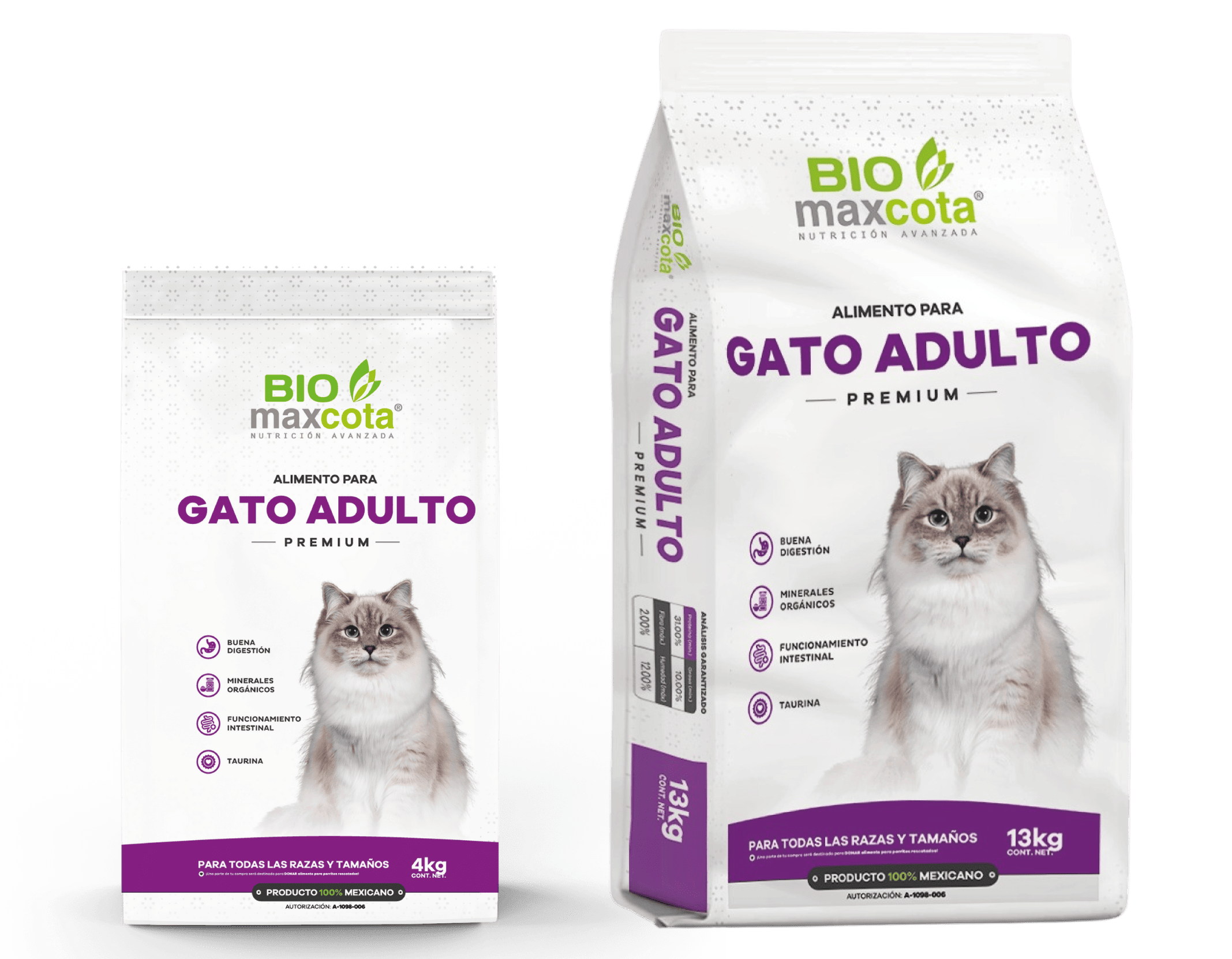 gato