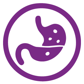 digestion-gato